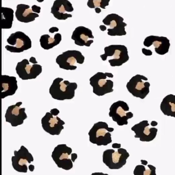 abbykennedy469